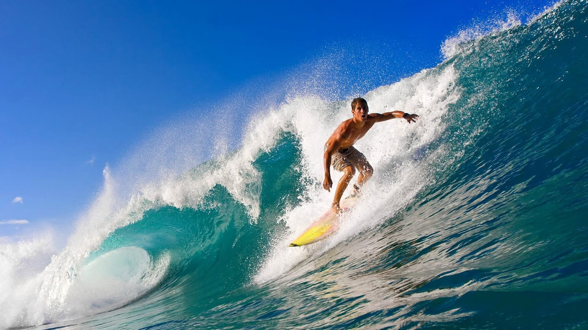 星空体育官网首页-体育新闻中心联合科研机构开展体育内容影响力评估,体育科研热点问题